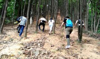 广州火炉山森林公园 广州火炉山森林公园