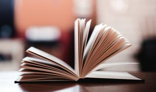 汤小米王洋个人资料