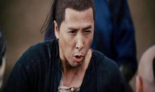 武侠甄子丹 武侠甄子丹