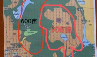 光伏发电到哪里咨询 光伏发电到哪里咨询