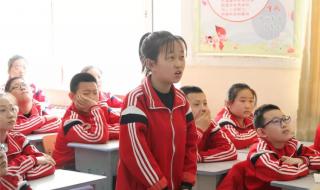 普法栏目剧我的青春 普法栏目剧我的青春